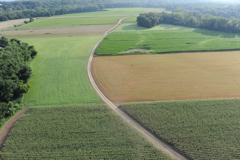 Land disputes Archives Barristers 4U Blog